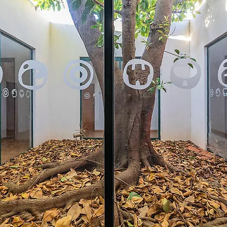 Hi - De Juventude Hostel Portimão